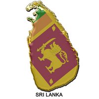 Fraudulent shoe imports cause losses to Sri Lanka 
