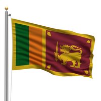 Footwear industry in Sri Lanka with significant potential Footwear industry in Sri Lanka with significant potential