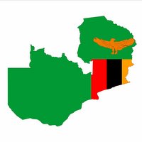 Zambia’s leather sector with new investment Zambia’s leather sector with new investment