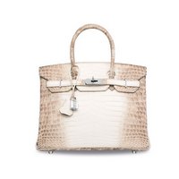 The most expensive handbag