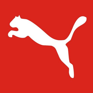 puma cat jumping