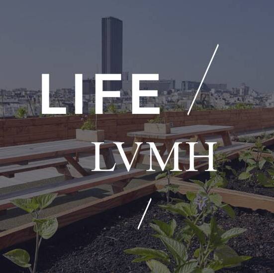 LVMH announces the signing of its first partnership as part of its policy  to reduce energy consumption - LVMH