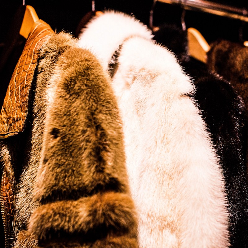 Israel bans sale of fur in the fashion industry