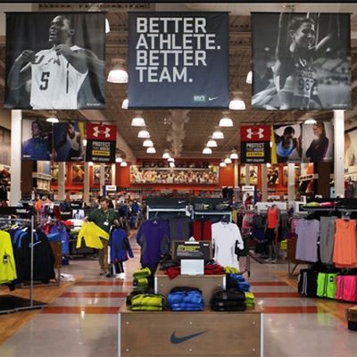 Dick's Sporting Goods posts sales decline 