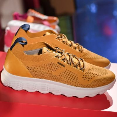 Elk jaar Verdorie Picknicken Geox - World Footwear