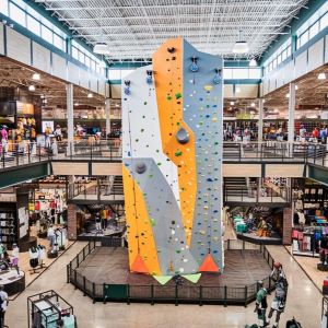 Dick's Sporting Goods reports a fall in profits