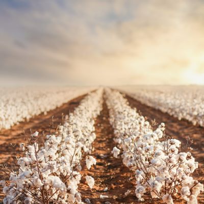 Inditex signs deal to support the expansion of regenerative agricultural systems Inditex signs deal to support the expansion of regenerative agricultural systems