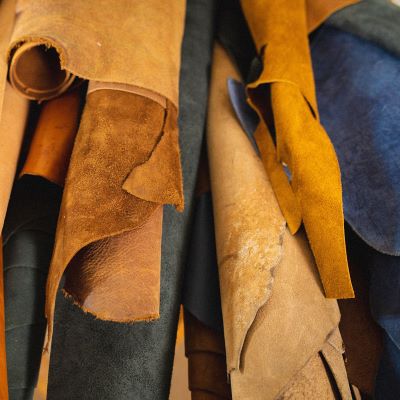 Leather has a role to play in the fight against deforestation