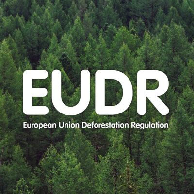EU Parliament approves one-year postponement of EUDR start date