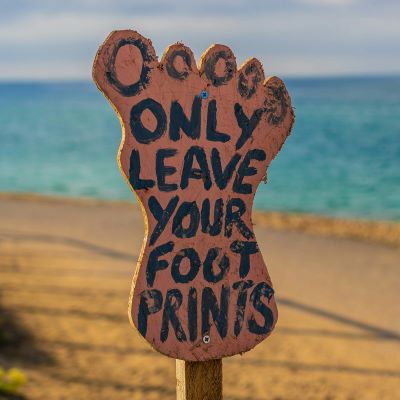 VETting Green: an online course to tackle greenwashing in the apparel and footwear sectors 