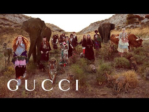 gucci new rock